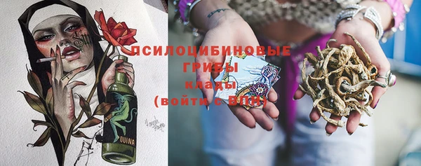 PSILOCYBIN Алексин