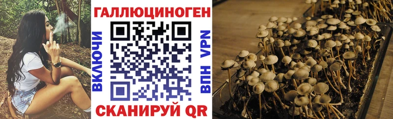 наркотики Поронайск Псилоцибиновые грибы Magic Shrooms